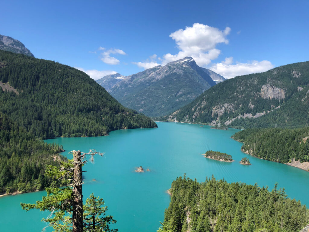 Washington National Parks Road Trip: How to Visit Olympic, Mount ...