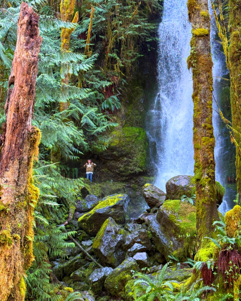 Ultimate Olympic National Park Guide (Travel Tips, Itineraries &amp; More ...