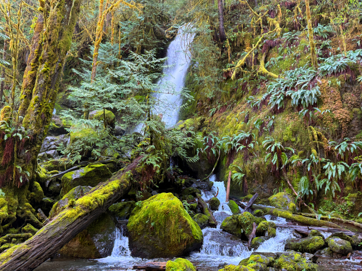 olympic national park waterfalls