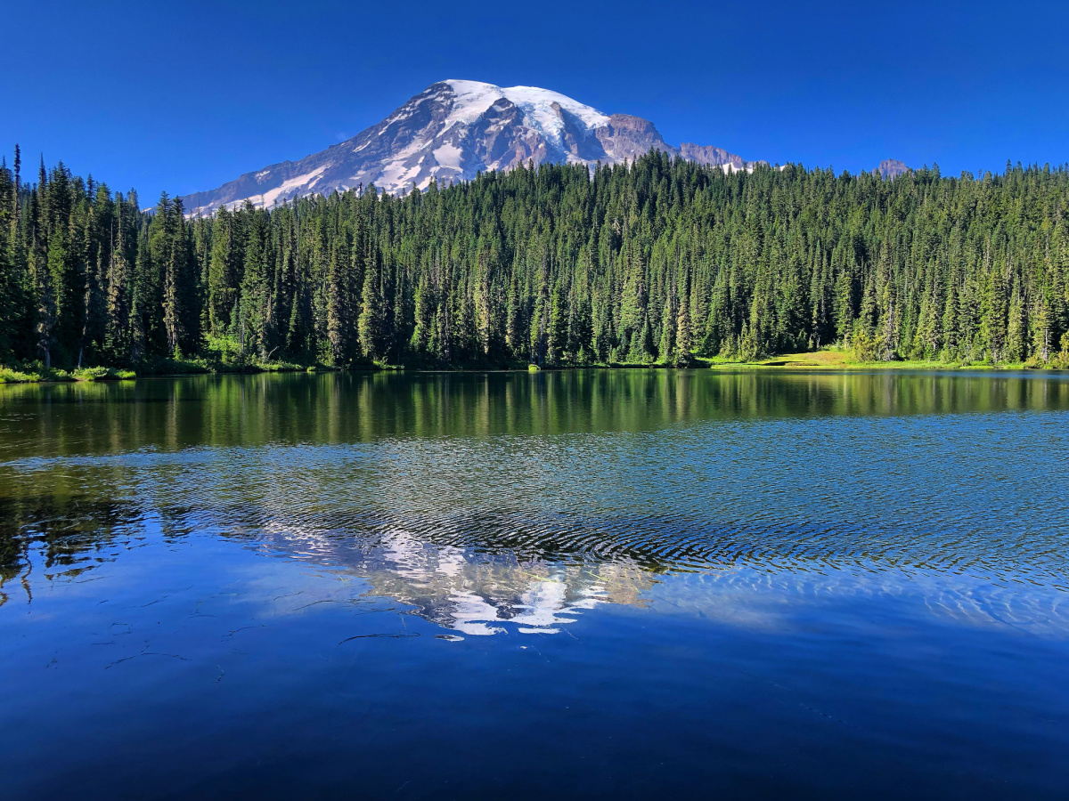 reflection lakes mount rainier