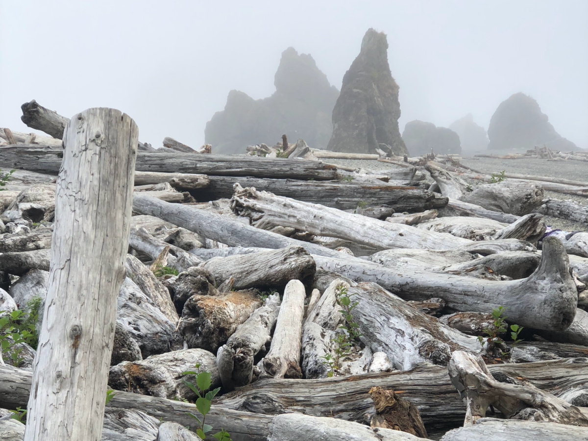 Ruby Beach Olympic National Park