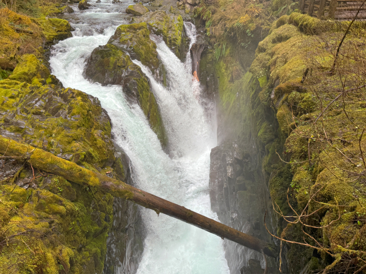 Sol Duc Falls Trail
