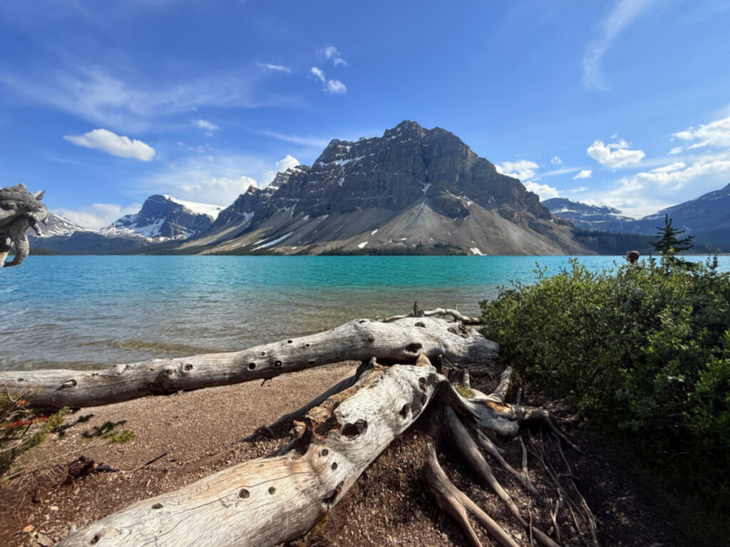 Bow Lake Guide: One of the Most Beautiful Stops on the Icefields ...
