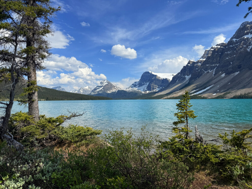 Bow Lake Guide: One of the Most Beautiful Stops on the Icefields ...
