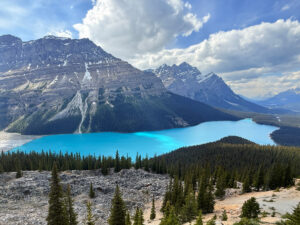Canadian Rockies for First-Time Visitors Peyto Lake viewpoint in the Canadian Rockies near Banff National Park