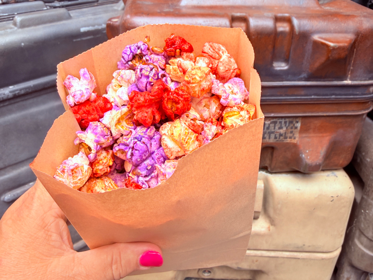 Best Hollywood Studios Snacks