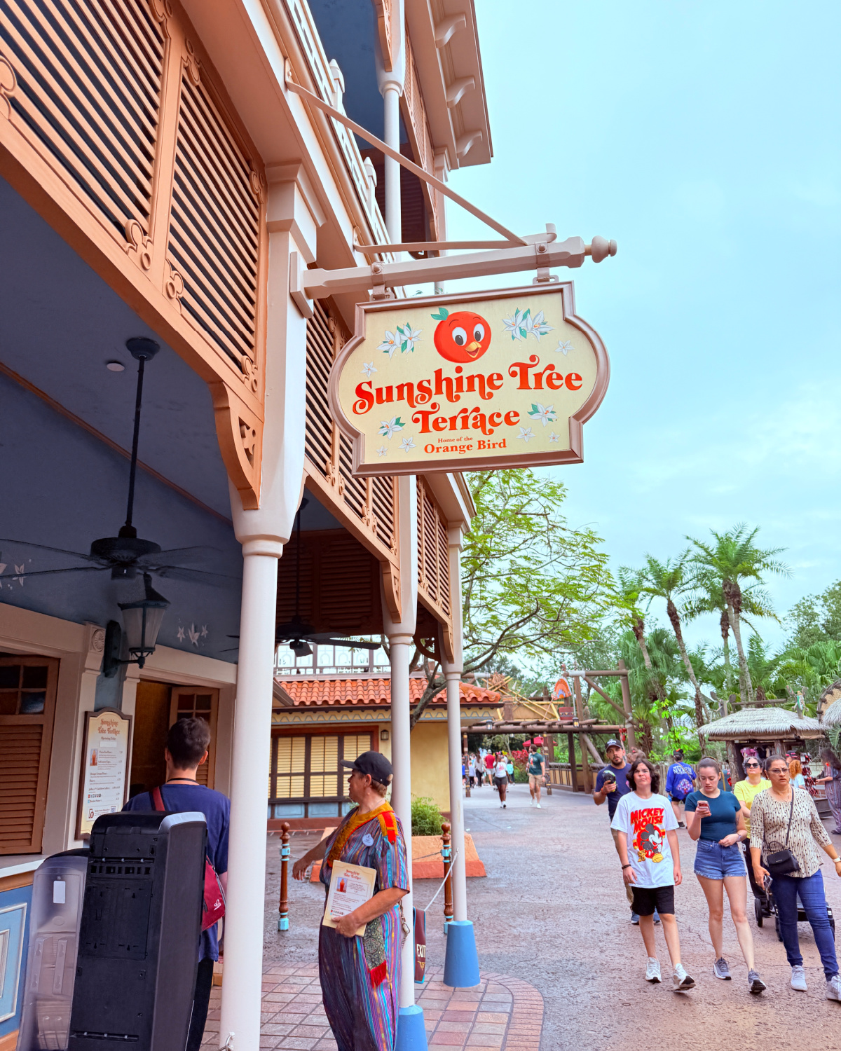 Sunshine Tree Terrace review