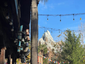 Animal Kingdom on a crowded day