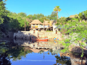 Animal Kingdom rope drop starting at Kilimanjaro Safari instead of Pandora