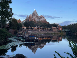 Disney Animal Kingdom Asia
