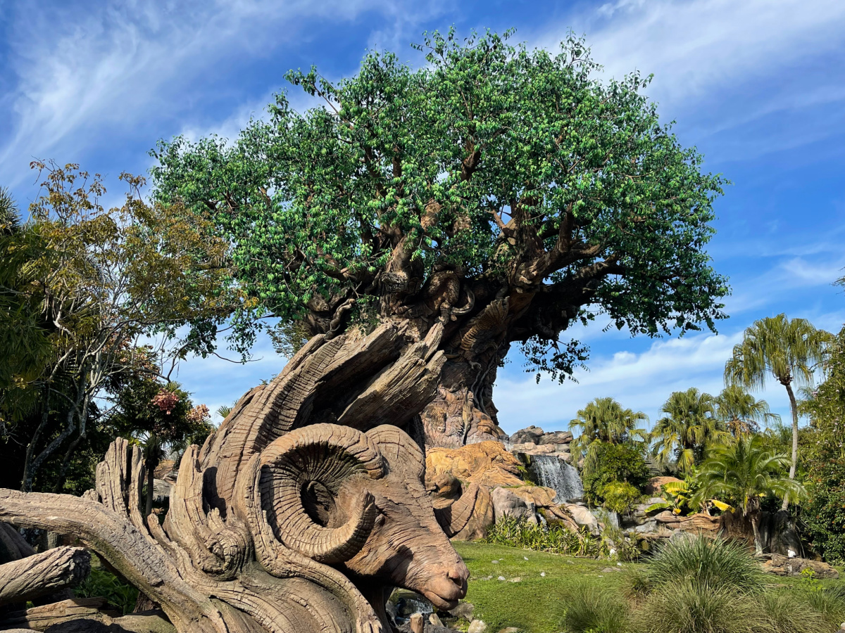 Discovery Island Animal Kingdom