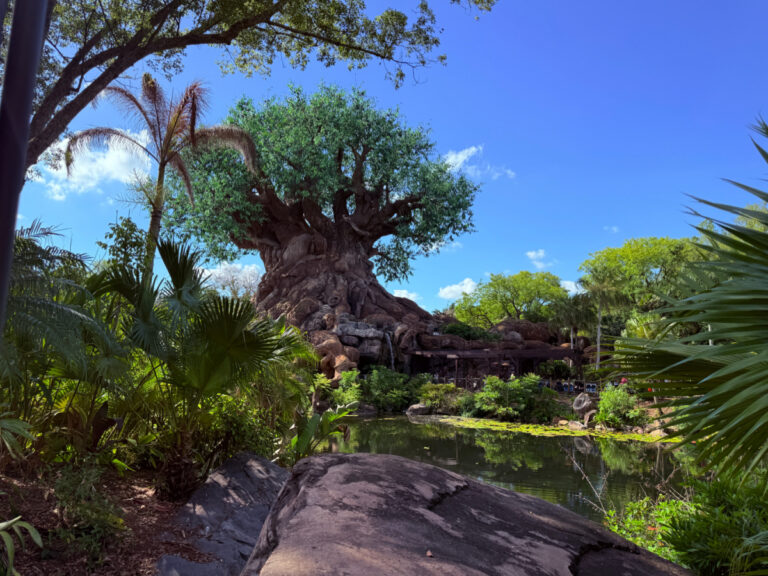 Animal Kingdom touring strategy