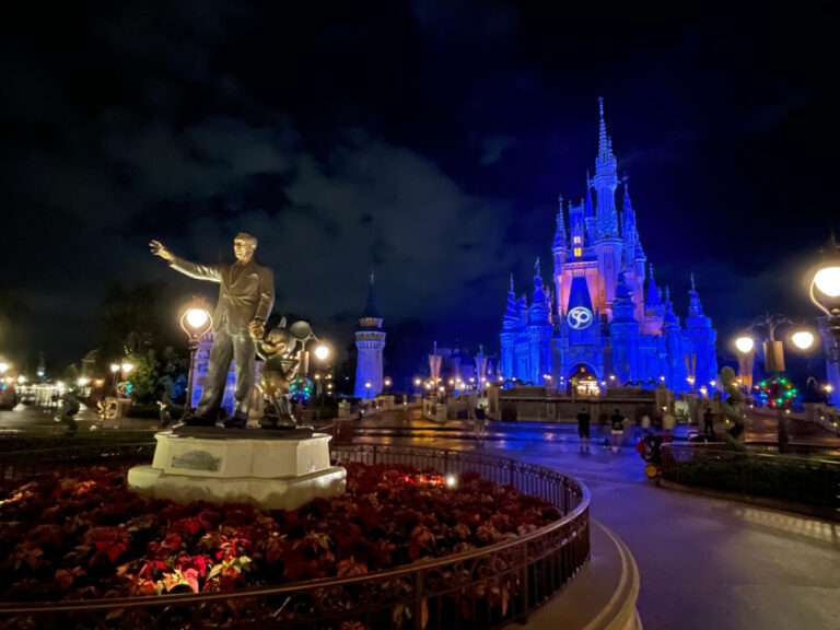 Magic Kingdom at night