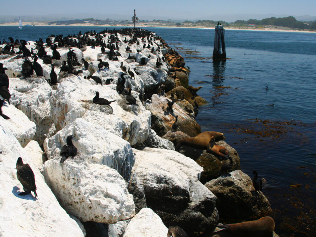 2 days in Monterey