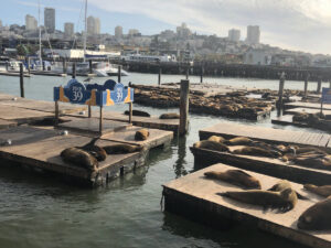Pier 39 with kids