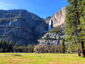 one day in Yosemite National Park